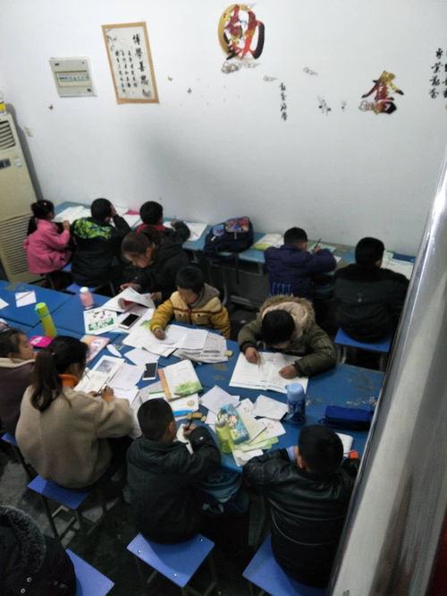 肥东太秀教育咨询服务中心 专业教育咨询，助力学业发展