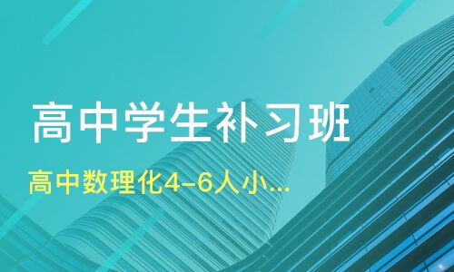 天津乐学堂教育信息咨询与淘学培训 专业教育服务的探索与分析