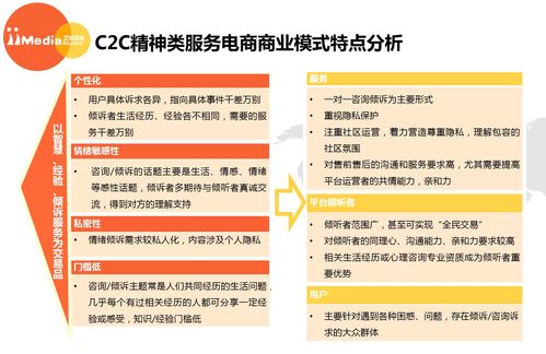 2017上半年中国精神类服务电商市场研究报告 聚焦教育咨询服务